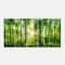Designart - Forest with Rays of Sun Panorama - Landscape Art Print Canvas